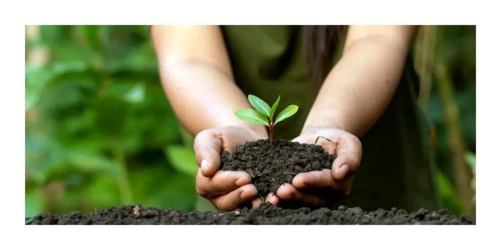 Environment watchdog lauds eco-friendly campaign | Alan Peter Cayetano