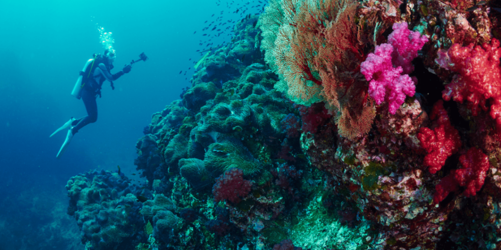 Gov’t urged to promote welfare of marine sanctuary workers | Alan Peter Cayetano